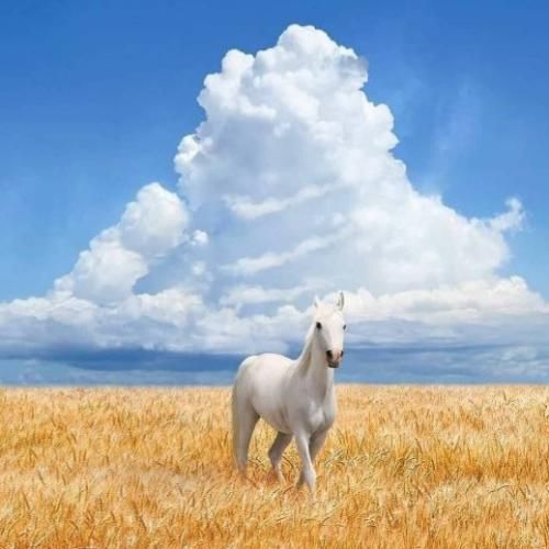 دانلود آهنگ چشمای خیس پلکای خسته احساس میکنم با تو 