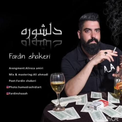 دانلود آهنگ دلشوره فردین شاکری