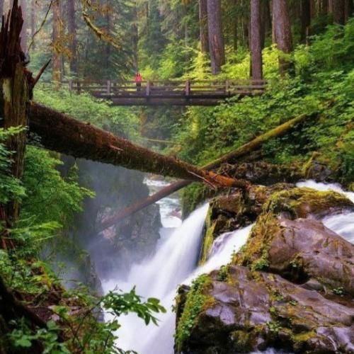 دانلود آهنگ نور میاد بیرون از پنجره این دیوونه هنوز منتفره 