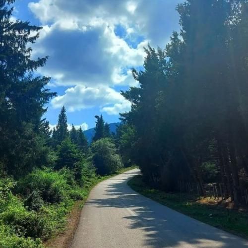 دانلود آهنگ امشب تولدمه و قلبم خوشحاله با صدای دختر 