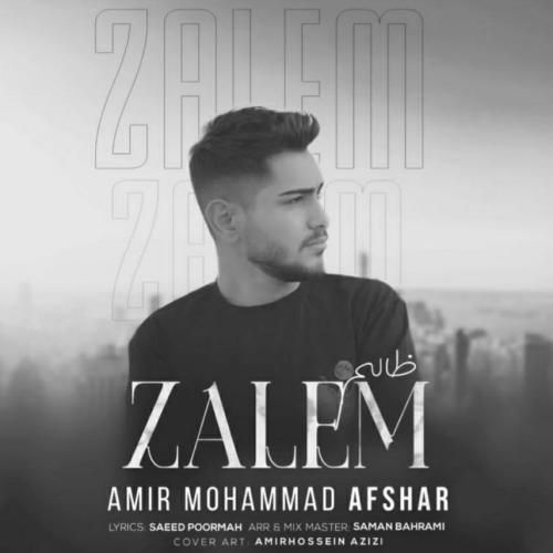 دانلود آهنگ ظالم امیرمحمد افشار