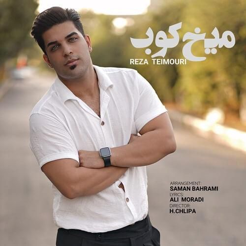 دانلود آهنگ میخ کوب رضا تیموری