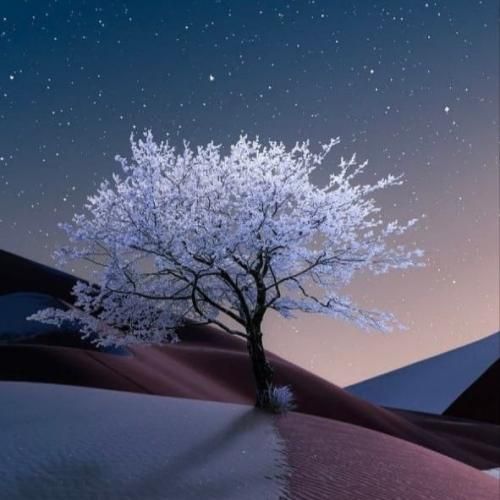 دانلود آهنگ چوار کوله که ی ماله که م باوانی باوانکه م