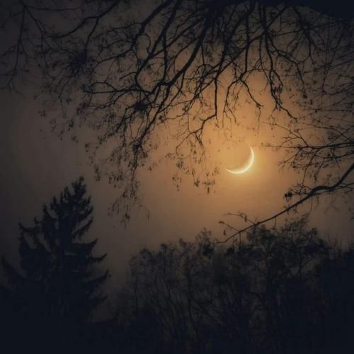 دانلود آهنگ گرگ و میش بهرام و علی سورنا