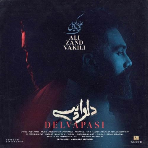 دانلود آهنگ دلواپسی علی زندوکیلی