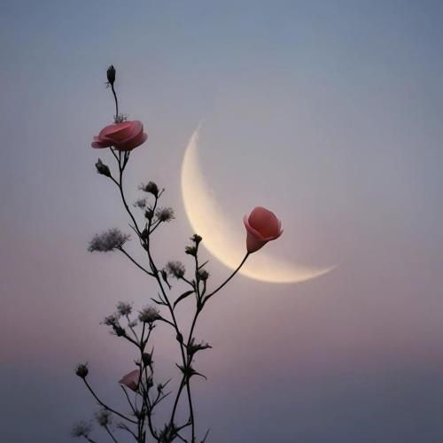 دانلود آهنگ خون خورشید  علی سورنا و بهرام