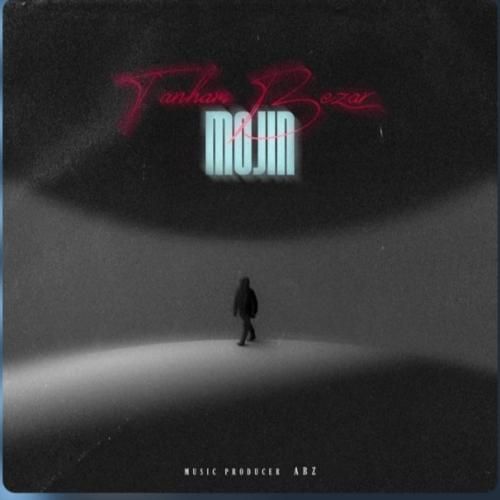 دانلود آهنگ تنهام بزار مجین