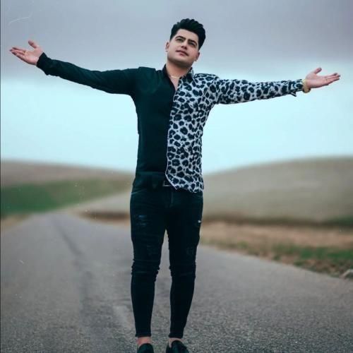 دانلود آهنگ حسرت عشق بازی و یه با وفای تک پر امیرحافظ رنجبر