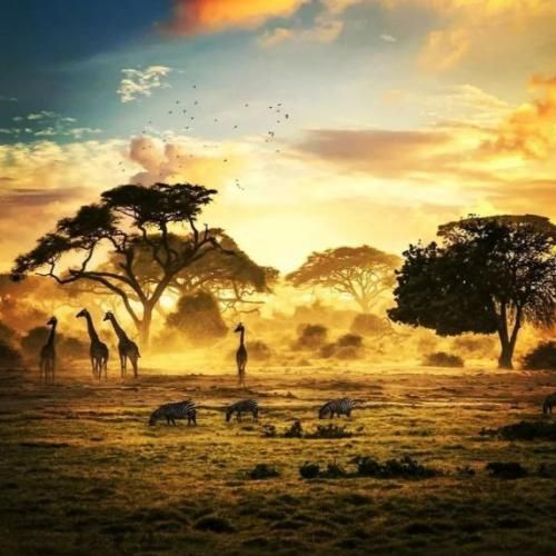 دانلود آهنگ خارجی نیلز چک هر چک فیس چک 