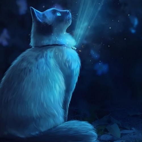 دانلود آهنگ از آسمون داره میاد یه دسته حوری