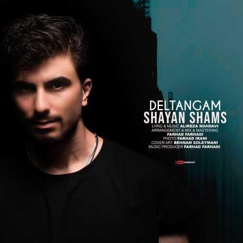 دانلود آهنگ دلتنگم شایان شمس