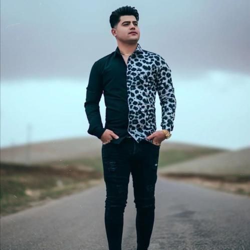 دانلود آهنگ روزیل پر پر منه آخر شر امیرحافظ رنجبر