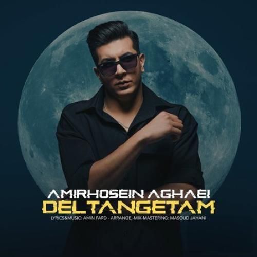 دانلود آهنگ دلتنگتم امیرحسین آقایی