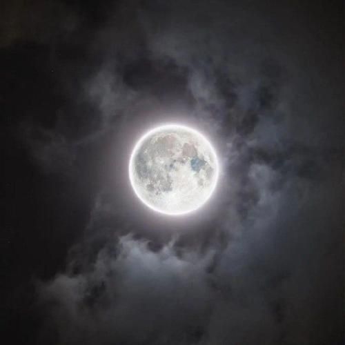 دانلود آهنگ شب هجرون دیگه تمومه گل مهتاب بر سر بومه