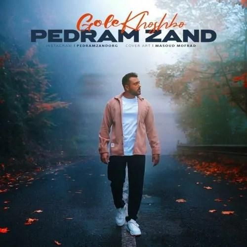 دانلود آهنگ گل خوشبو پدرام زند