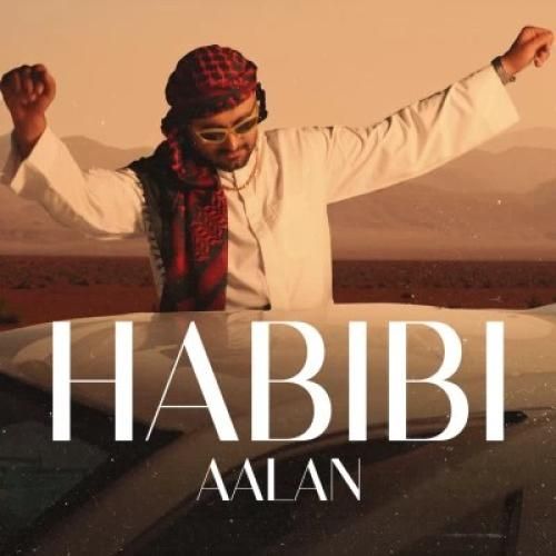 دانلود آهنگ حبیبی آلان