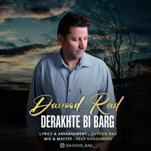دانلود آهنگ درخت بی برگ داوود راد
