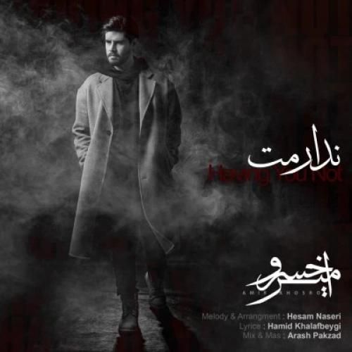 دانلود آهنگ ندارمت امیر خسرو
