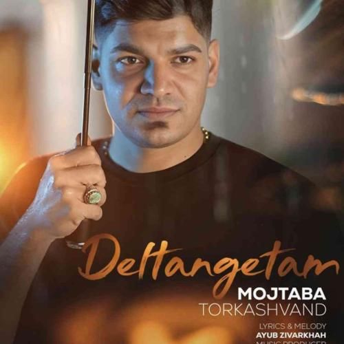 دانلود آهنگ دلتنگتم مجتبی ترکاشوند