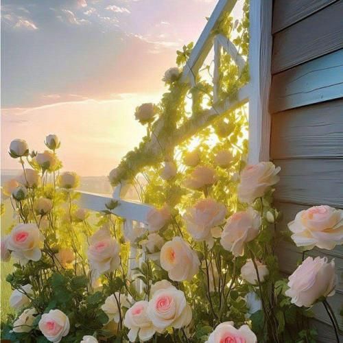 دانلود آهنگ یک خنده کن ای گل لب خندانته صدقه 