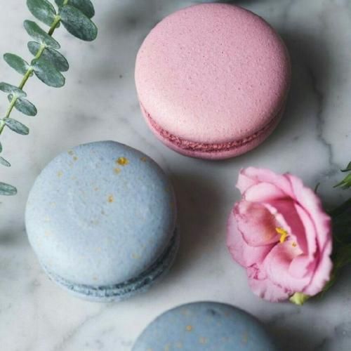 دانلود آهنگ دنیا که کربلایه تو تر سینه بزن 