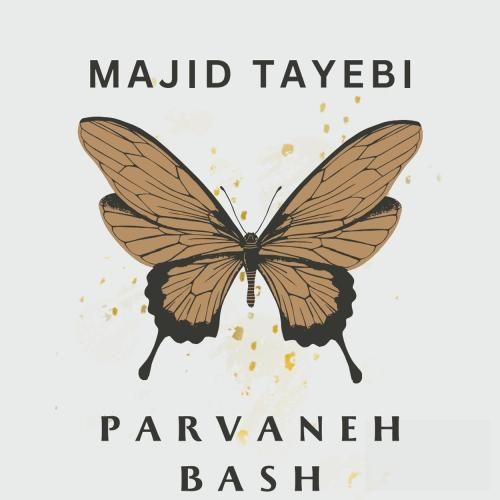 دانلود آهنگ پروانه باش مجید طیبی