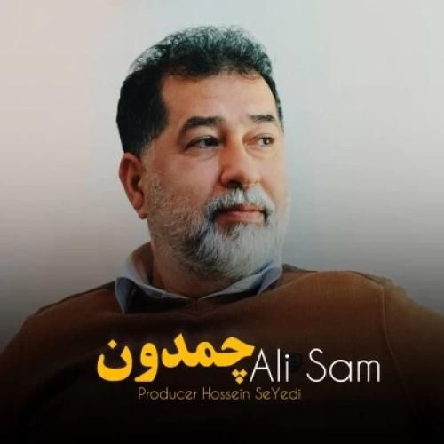 دانلود آهنگ چمدون علی سام