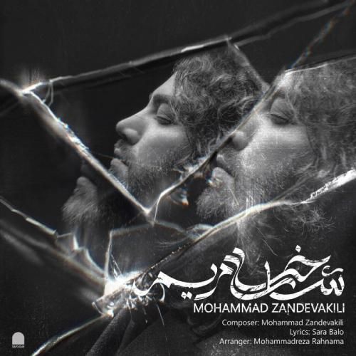 دانلود آهنگ شاخه ی مریم محمد زندوکیلی