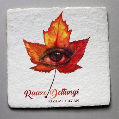 دانلود آهنگ راز دلتنگی رضا مهرگان