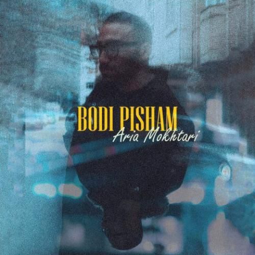 دانلود آهنگ بودی پیشم آریا مختاری