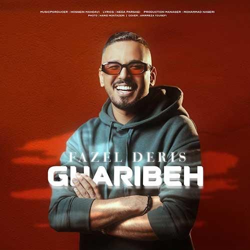 دانلود آهنگ غریبه فاضل دریس