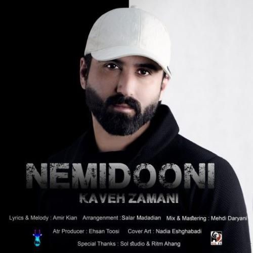 دانلود آهنگ نمیدونی کاوه زمانی