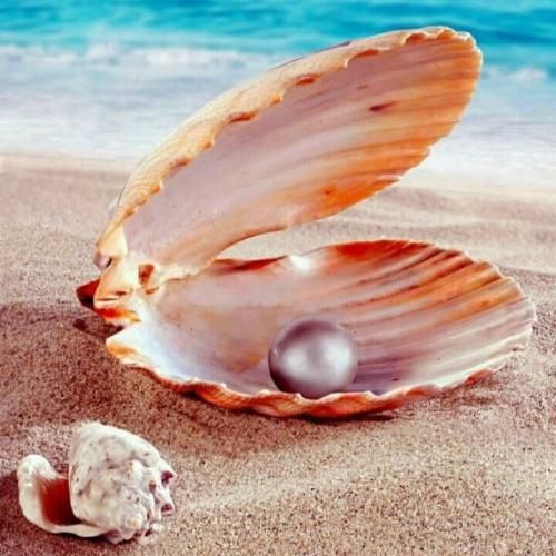 دانلود آهنگ نرو لج نکن باهام بد نشو