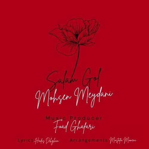 دانلود آهنگ سلام گل محسن میدانی