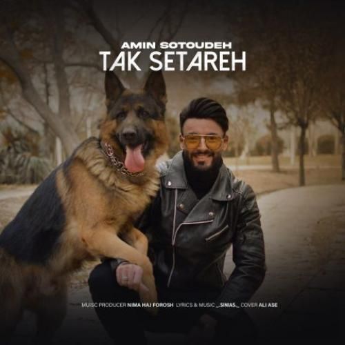 دانلود آهنگ تک ستاره امین ستوده