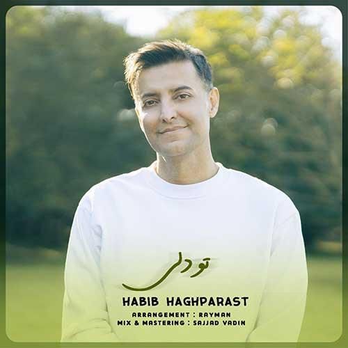 دانلود آهنگ تودلی حبیب حق پرست