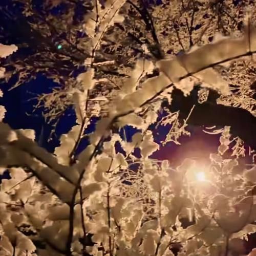 دانلود آهنگ با تو گذشته چه شبایی تو دلیل لاوم و ترکامی