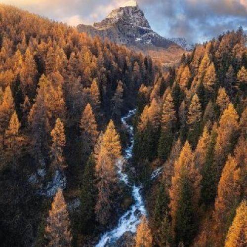 دانلود آهنگ یار دلنواز ستایش صادق زاده