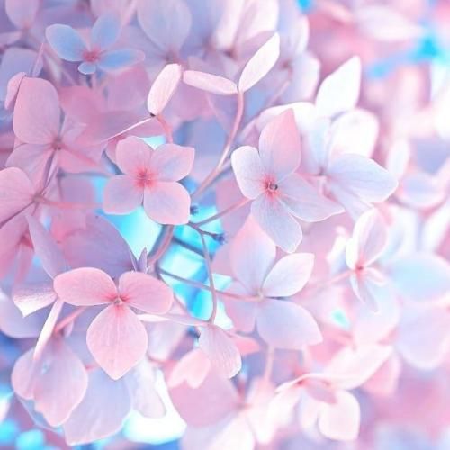 دانلود آهنگ اگه دخترارو ببرن خدمت تو پادگان وضع همینه من بعد 