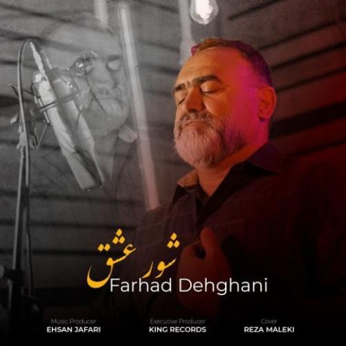 دانلود آهنگ شور عشق فرهاد دهقانی
