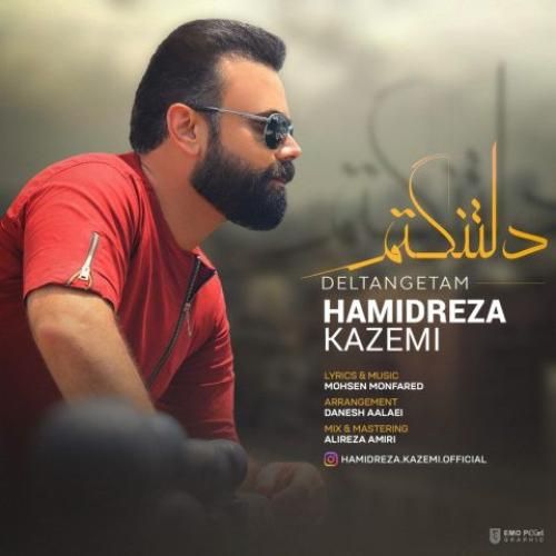 دانلود آهنگ دلتنگم حمیدرضا کاظمی