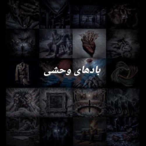 دانلود آهنگ بادهای وحشی علی سورنا و فرشاد