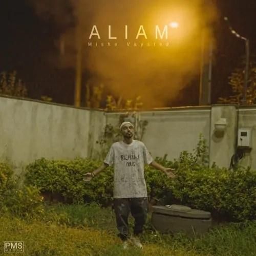 دانلود آهنگ میشه وایستاد علیم