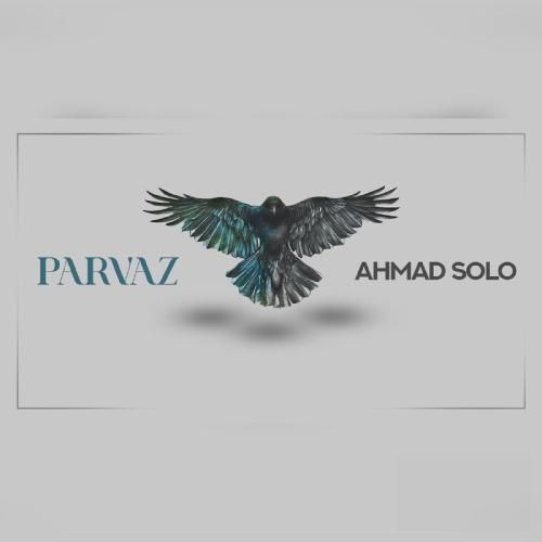 دانلود آهنگ پرواز احمد سلو