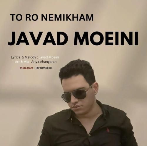 دانلود آهنگ تو رو نمی خوام جواد معینی
