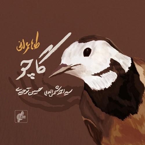 دانلود آهنگ گاچو طاها عمرانی