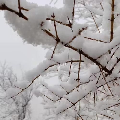 دانلود آهنگ لالایی الهام پیرزاد