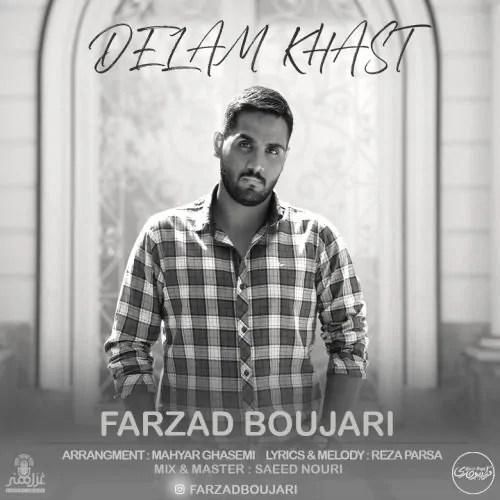 دانلود آهنگ دلم خواست فرزاد بوجاری