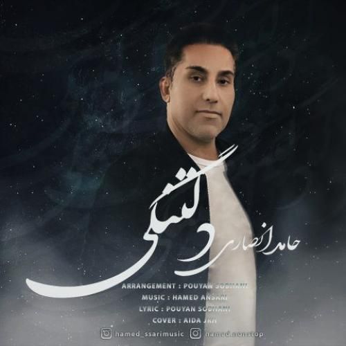 دانلود آهنگ دلتنگی حامد انصاری