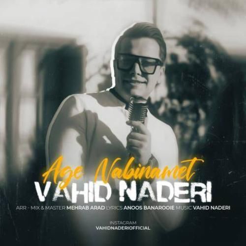 دانلود آهنگ اگه نبینمت وحید نادری